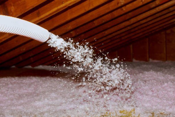 Best Cellulose Insulation in Whitehall, MI